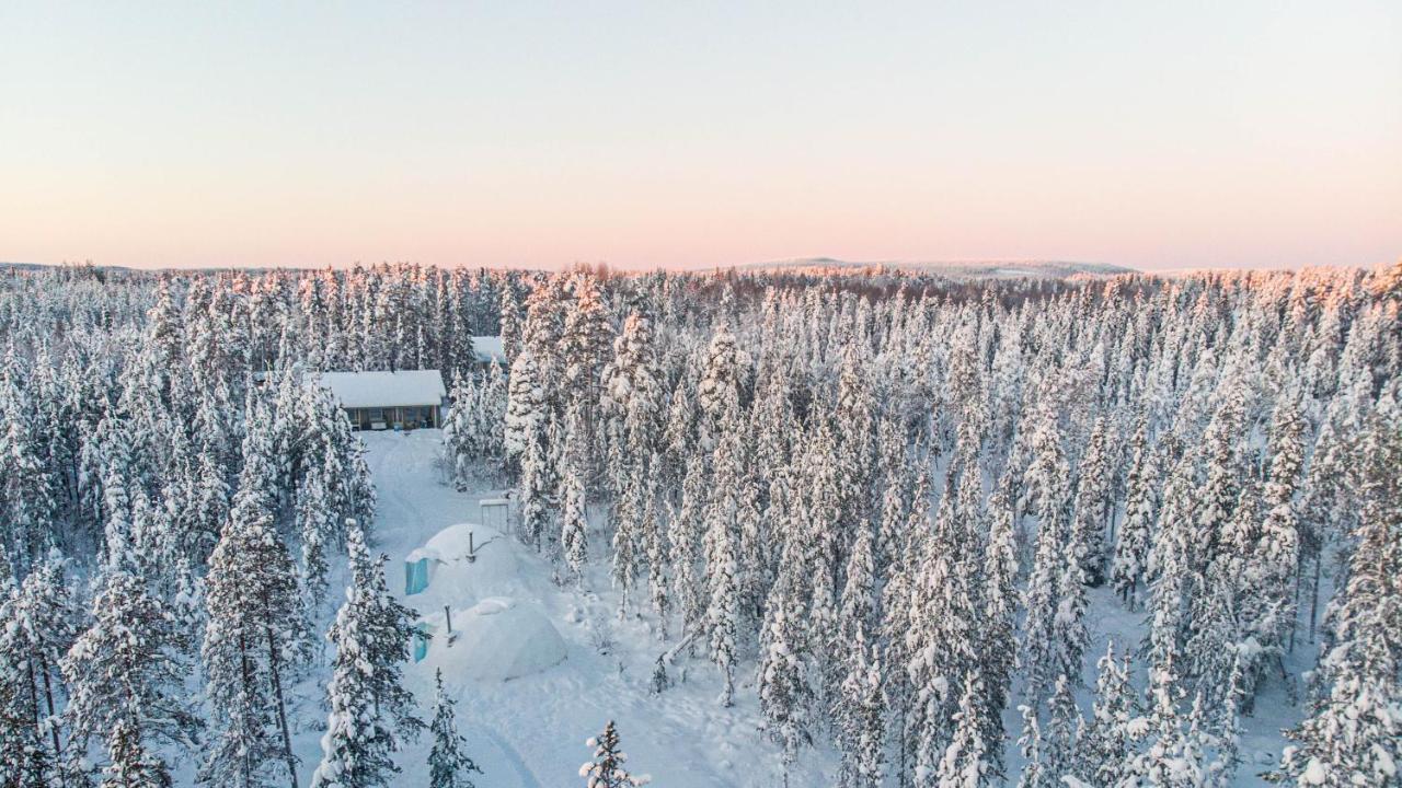 Aurora Igloo Fireplace-Heated Tents In A Secret Forest With Private Jacuzzi And Shared Sauna Bathroom And Dog Friendly Rovaniemi Exteriér fotografie