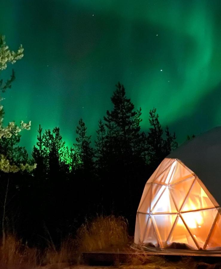 Aurora Igloo Fireplace-Heated Tents In A Secret Forest With Private Jacuzzi And Shared Sauna Bathroom And Dog Friendly Rovaniemi Exteriér fotografie