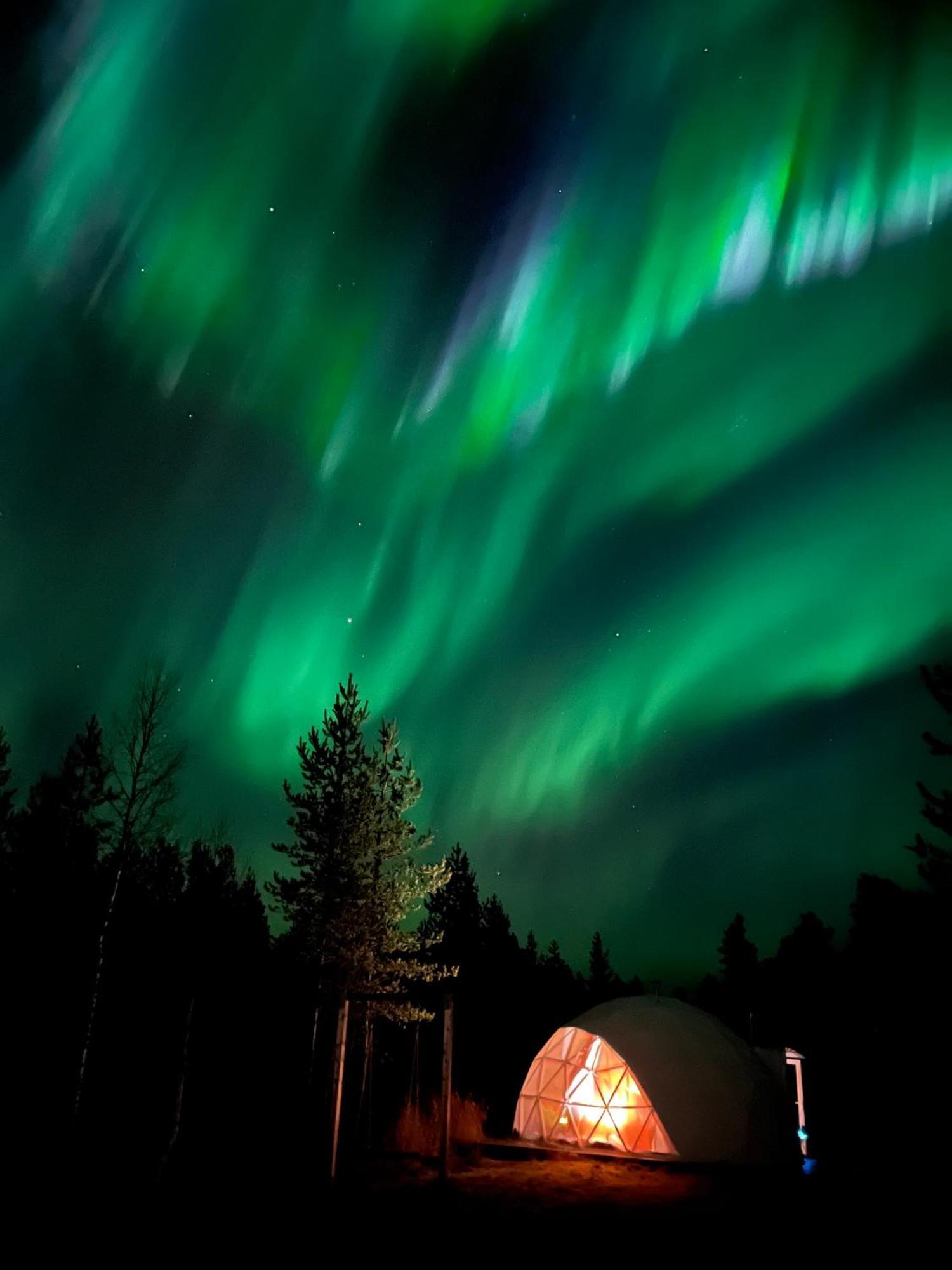 Aurora Igloo Fireplace-Heated Tents In A Secret Forest With Private Jacuzzi And Shared Sauna Bathroom And Dog Friendly Rovaniemi Exteriér fotografie