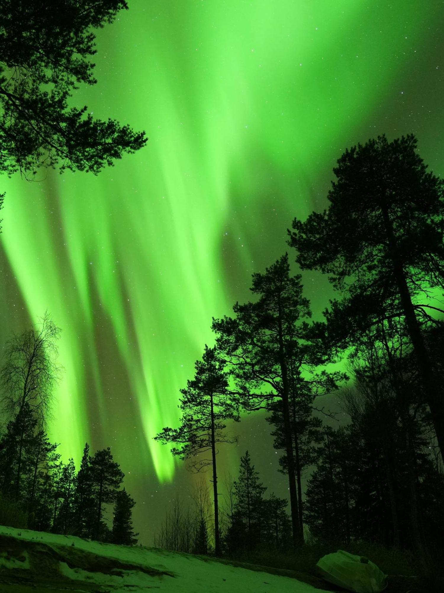 Aurora Igloo Fireplace-Heated Tents In A Secret Forest With Private Jacuzzi And Shared Sauna Bathroom And Dog Friendly Rovaniemi Exteriér fotografie